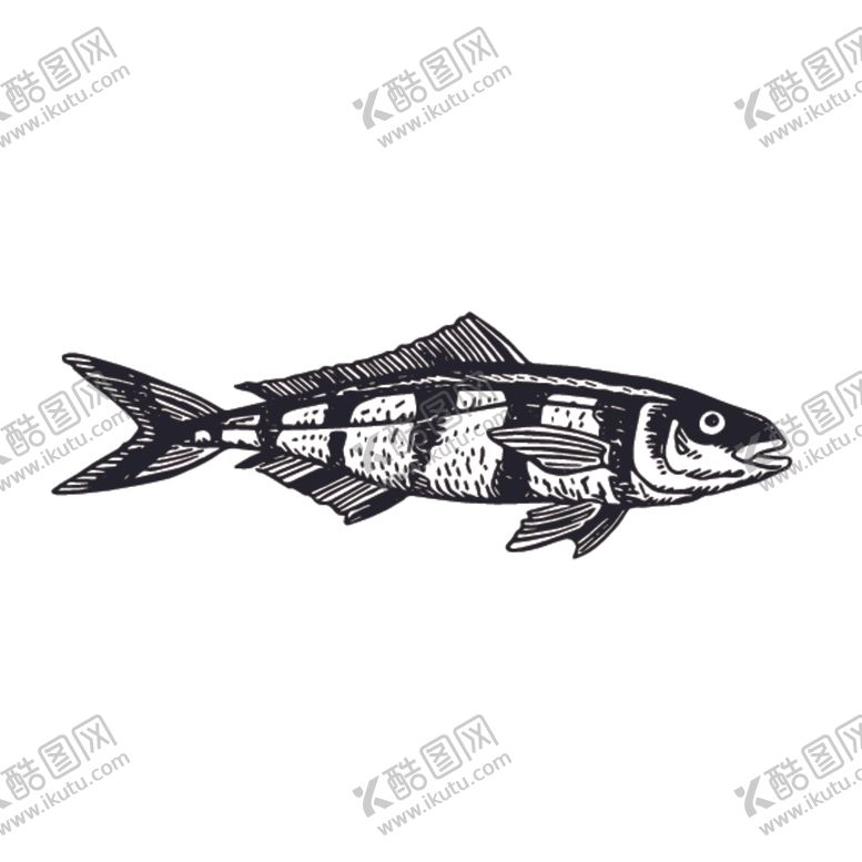 编号：57302810060518599133【酷图网】源文件下载-海洋生物鱼类图案