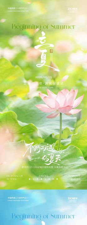 立夏节气清新简约海报