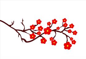 红色花朵梅花植物
