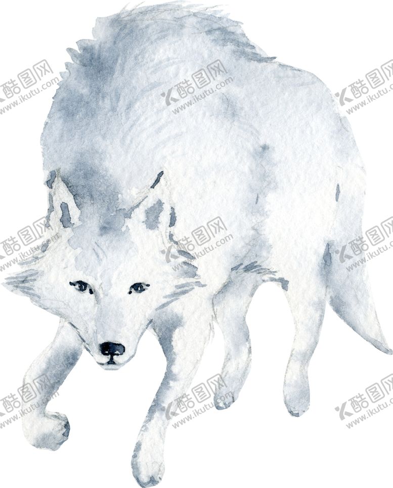 编号：27133810042021481315【酷图网】源文件下载-水彩小狐狸绘画