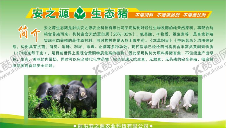 编号：20268809192134197375【酷图网】源文件下载-生态猪