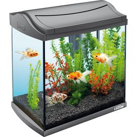 水族馆