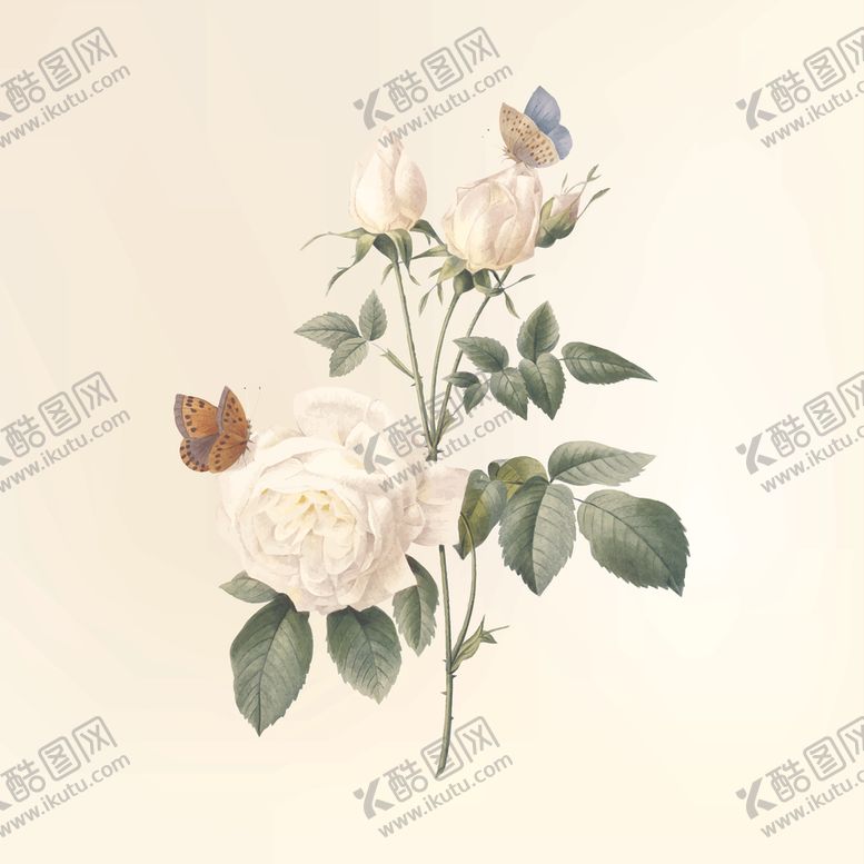 编号：76480207140025577220【酷图网】源文件下载-花纹