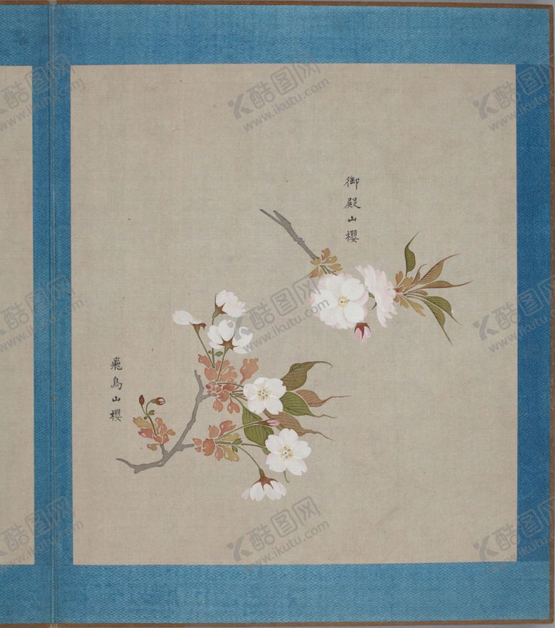 编号：32214203271434205162【酷图网】源文件下载-樱花