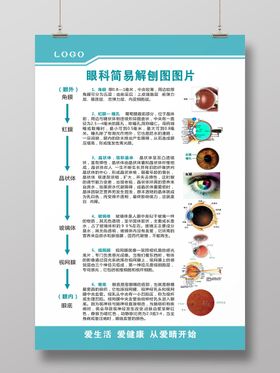 肛肠科系统解刨示意图