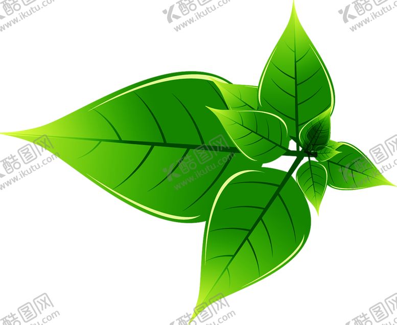 编号：41638110211201091678【酷图网】源文件下载-植物