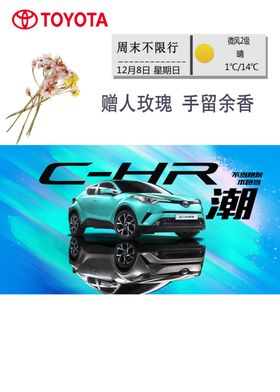 素雅清新汽车海报
