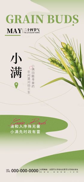 小满节气节日活动宣传海报