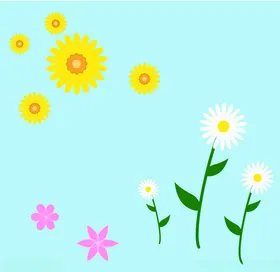 菊花