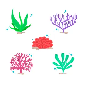 珊瑚卡通五彩缤纷插图海底生物