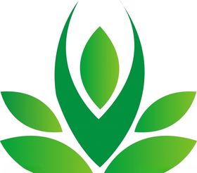 植物、茶叶、食品、有机、环保标
