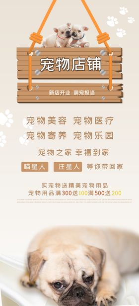 宠物店