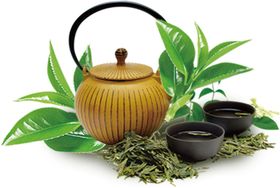 茶叶茶壶合成海报素材