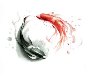 锦鲤免抠