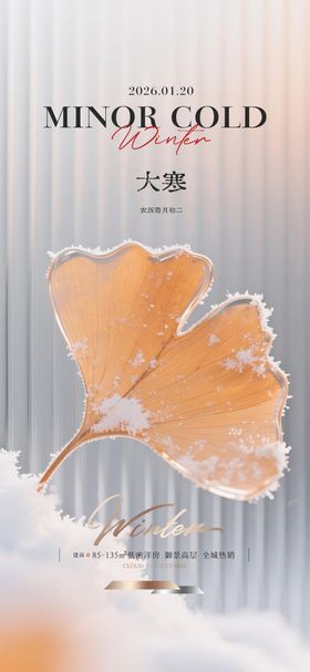 地产大寒质感节气海报