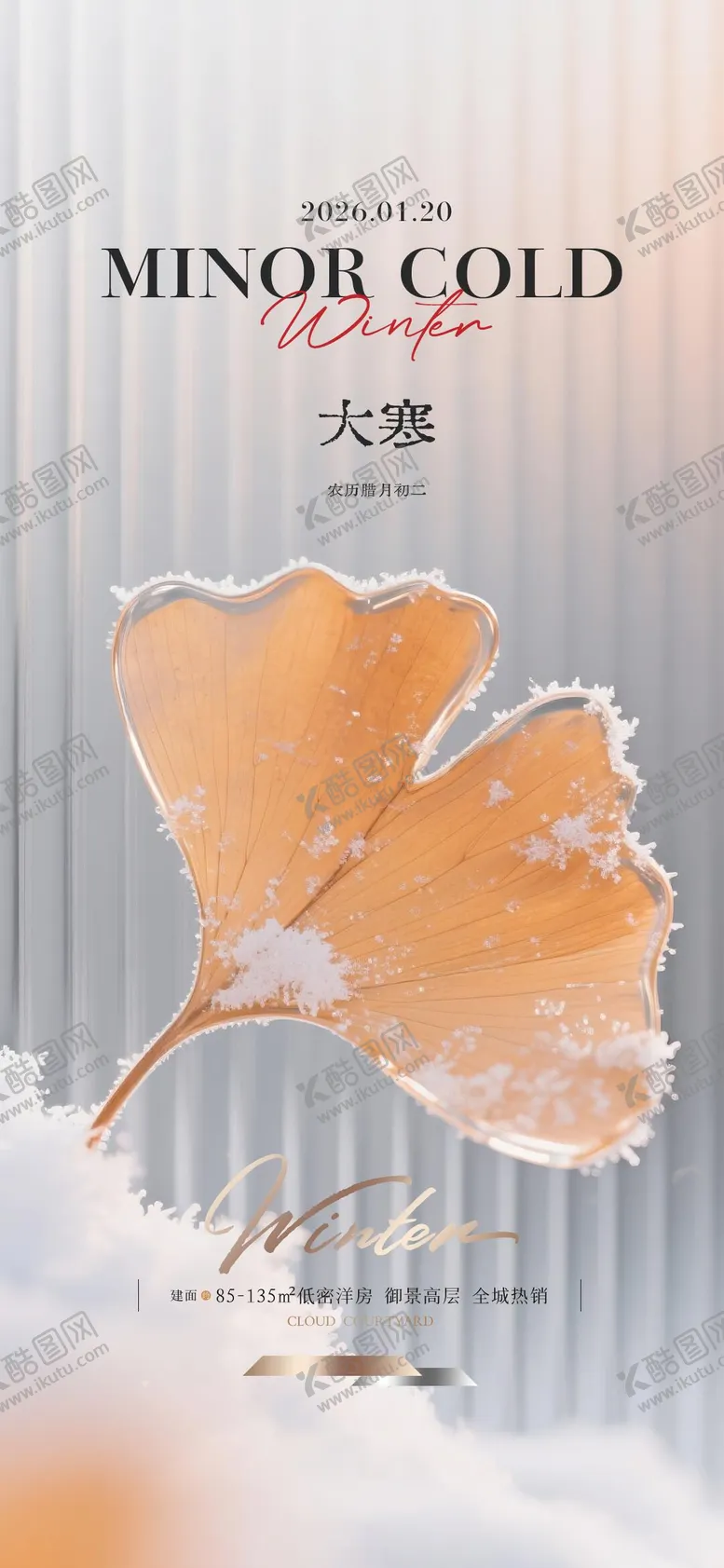 编号：61359301080207355855【酷图网】源文件下载-大寒质感节气海报