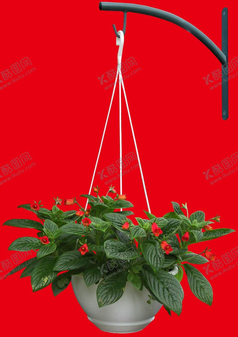 编号：49445409091005296589【酷图网】源文件下载-盆栽植物