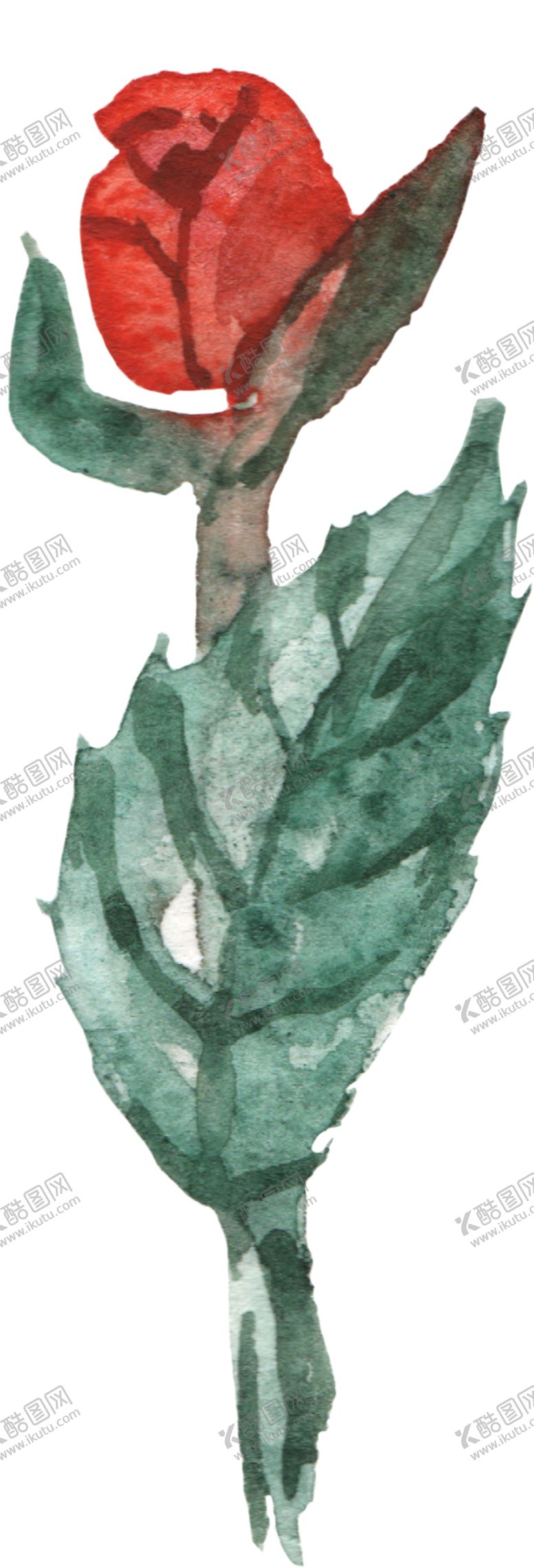 编号：83298202150922362539【酷图网】源文件下载-手绘植物花草