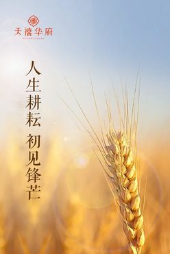 芒种单图刷屏节气