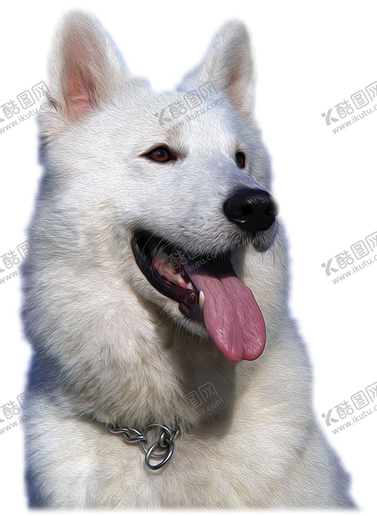 编号：09462109301136020718【酷图网】源文件下载-宠物狗免抠