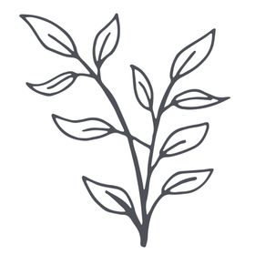 手绘植物