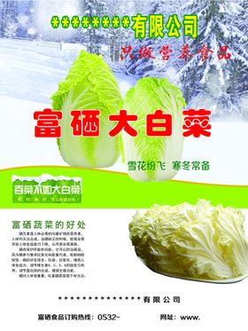 富氧山泉 金菩提 母版