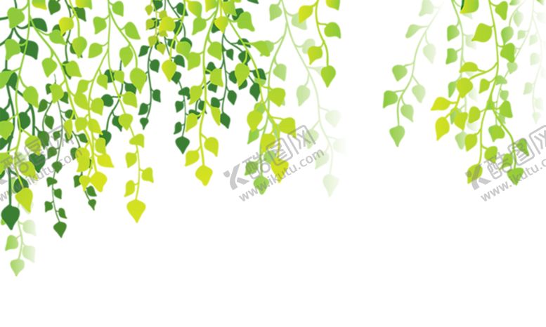 编号：11752510311953353152【酷图网】源文件下载-绿色背景
