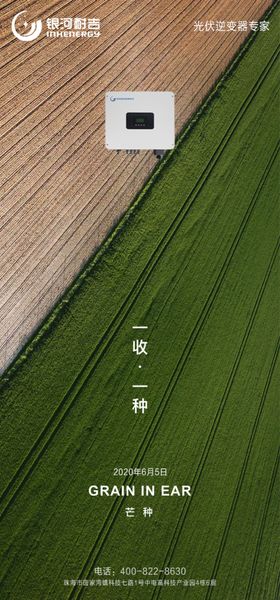 芒种活动海报