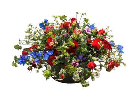 花艺