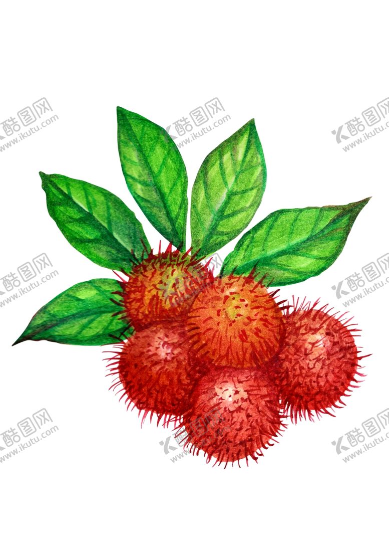 编号：23103109131248188290【酷图网】源文件下载-水果