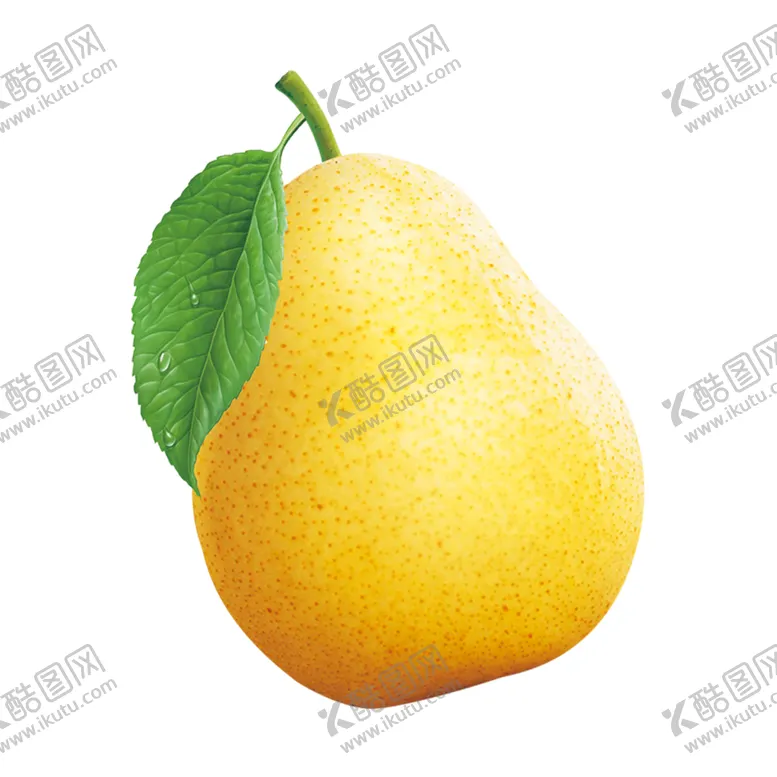 编号：84360510101357510345【酷图网】源文件下载-雪梨