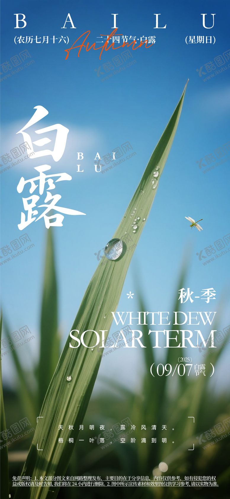 编号：95737007132315381337【酷图网】源文件下载-白露海报