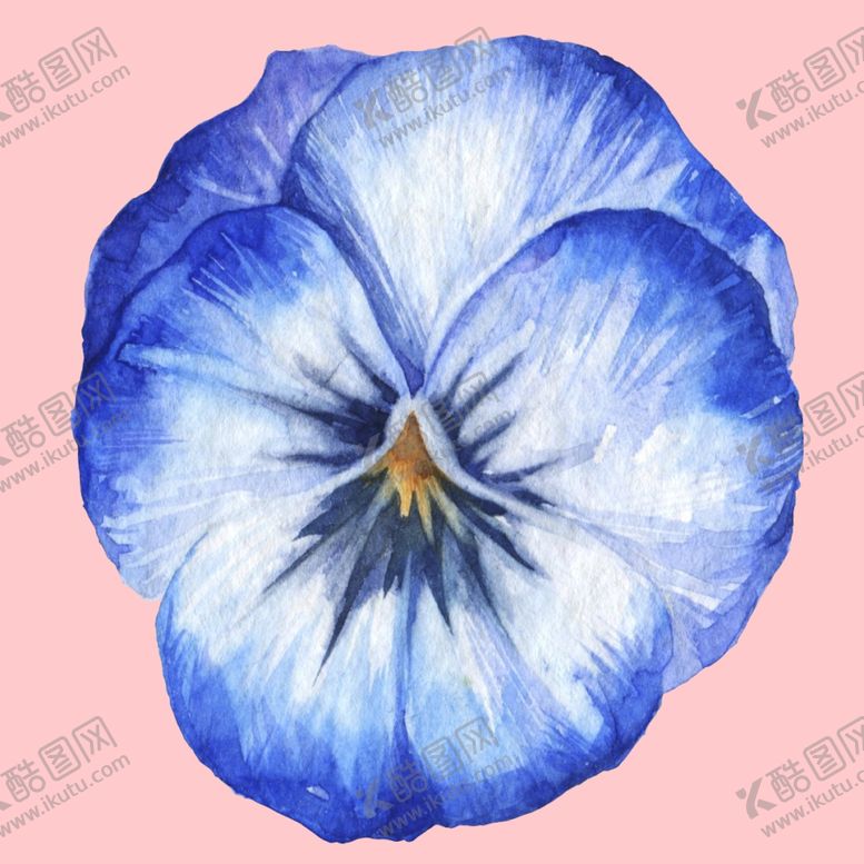 编号：31533810020411091455【酷图网】源文件下载-水彩植物