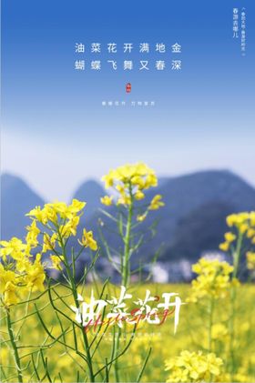 编号：95427309290731167581【酷图网】源文件下载-油菜花花季海报