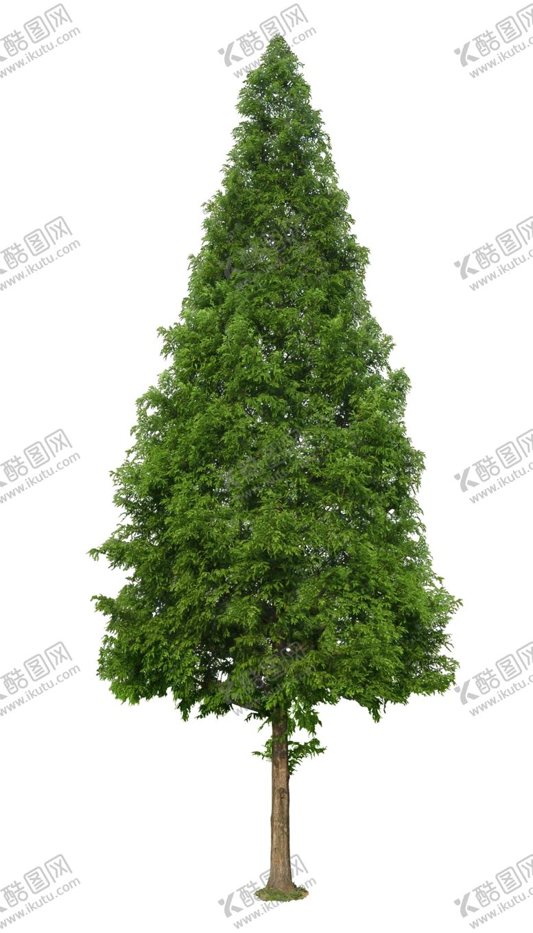 编号：45855710141836129364【酷图网】源文件下载-园林植物