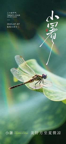 小暑节气海报