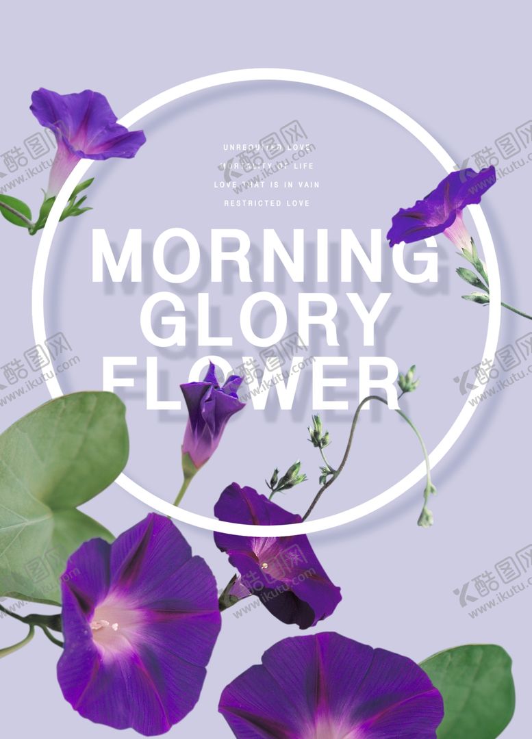 编号：97620010301935483745【酷图网】源文件下载-鲜花海报