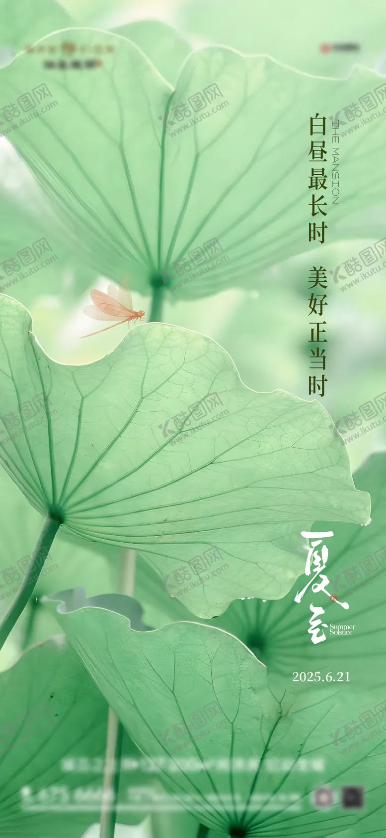 编号：71398206231417232341【酷图网】源文件下载-夏至节气海报