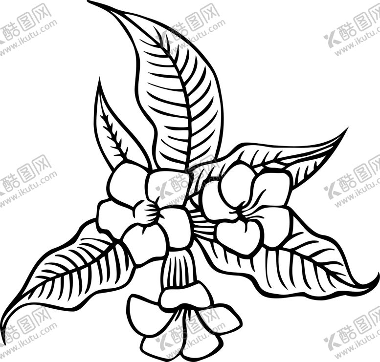 编号：16315310251908295556【酷图网】源文件下载-黑白手绘植物    