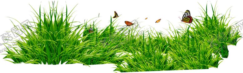 编号：80234410120100322187【酷图网】源文件下载-青草小草