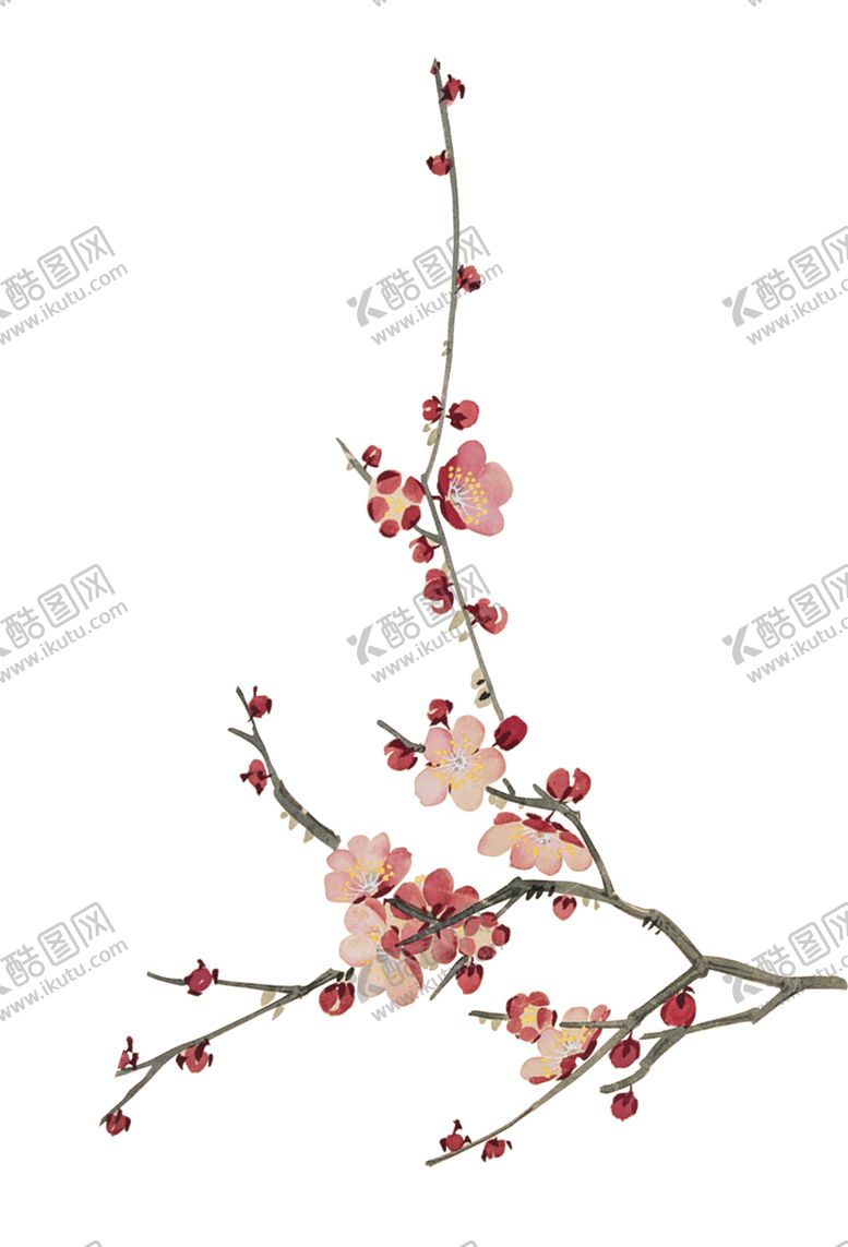 编号：92100610281030009041【酷图网】源文件下载-一枝梅