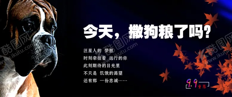编号：31355601291040226788【酷图网】源文件下载-狗狗