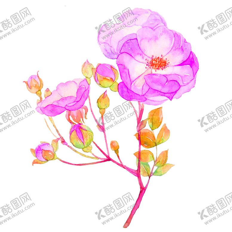 编号：87203406151805083139【酷图网】源文件下载-鲜花素材