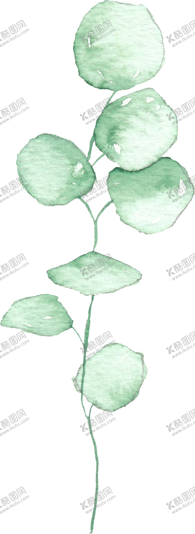 编号：36513610030815498225【酷图网】源文件下载-海报元素花草元素展架元素