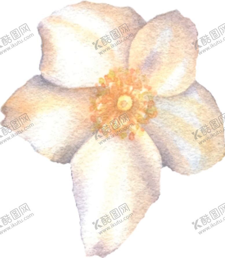 编号：68148209260210236737【酷图网】源文件下载-手绘绿植