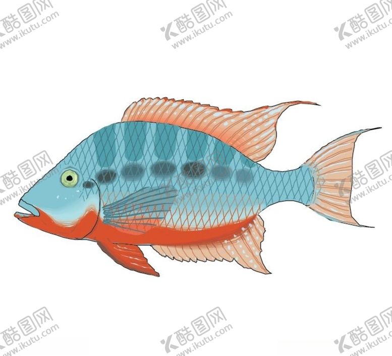 编号：48201609191141288153【酷图网】源文件下载-怪鱼