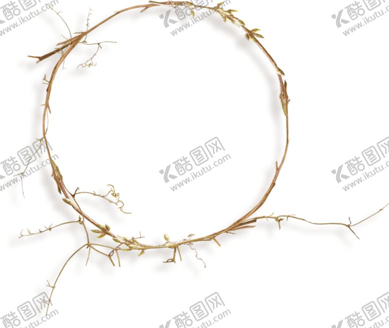 编号：90368906160105283815【酷图网】源文件下载-时尚花纹