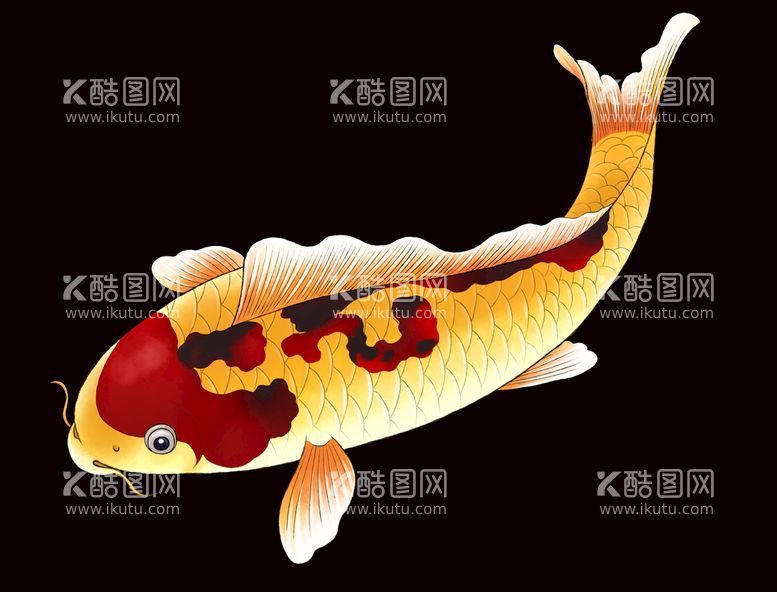 编号：49262710260625524588【酷图网】源文件下载-锦鲤