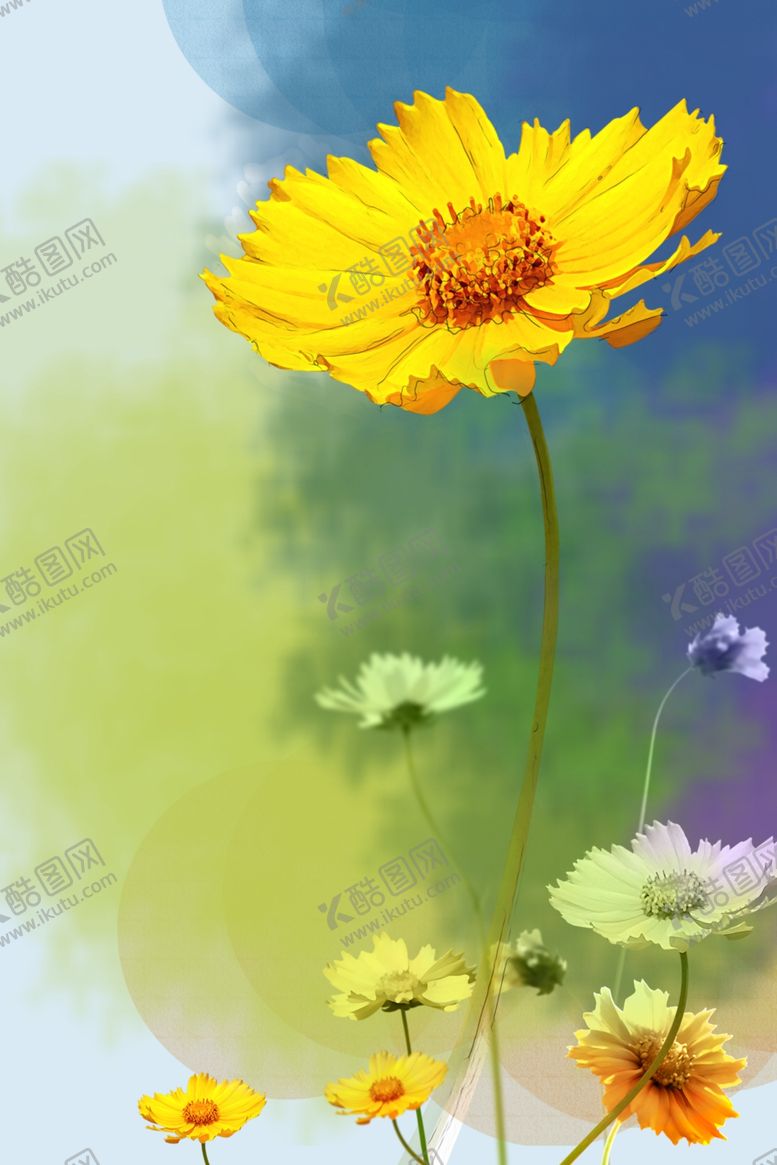 编号：29280404261842456892【酷图网】源文件下载-九月你好