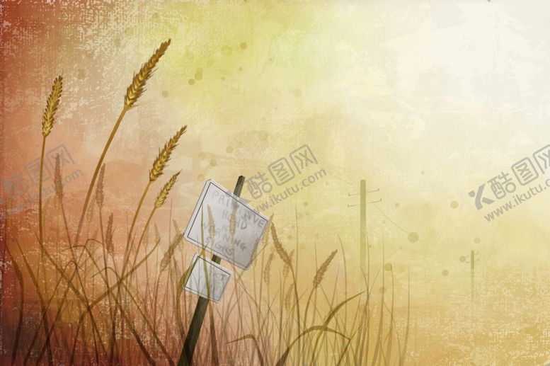 编号：54727210101728228178【酷图网】源文件下载-狗尾巴草